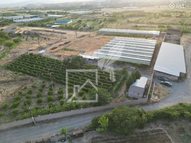 Կոմերցիոն տարածք Ոսկեվազում